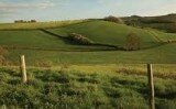 Mr Dale’s diary: Builders eyeing green belt development, shock